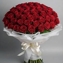 Букет 101 Красная роза Блэк Мэджик в Кузнецке